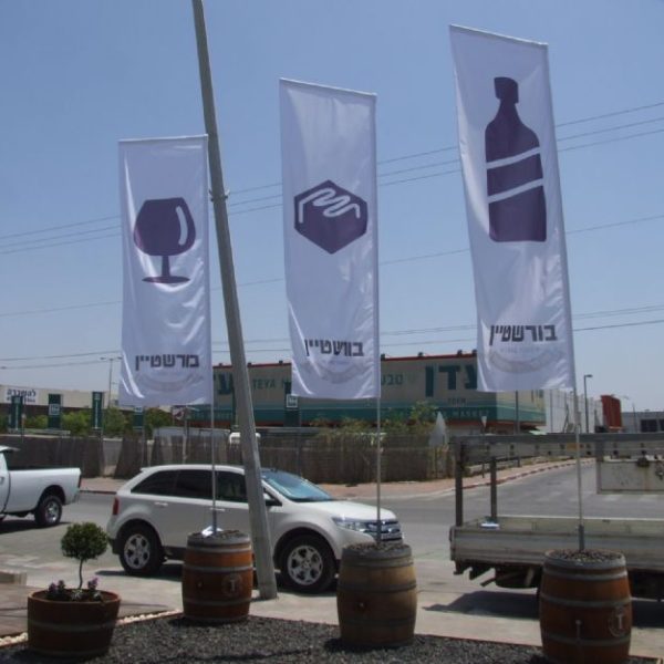 דגל סיני (1)