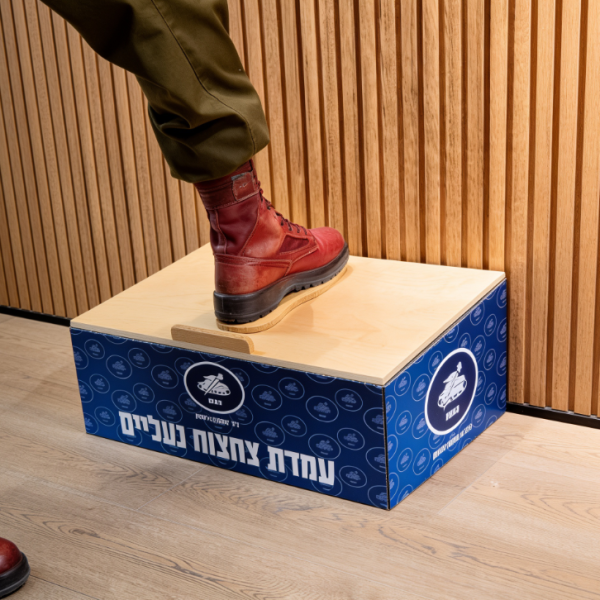 ‏‏לכידה